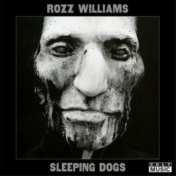 sleeping dogs lyrics